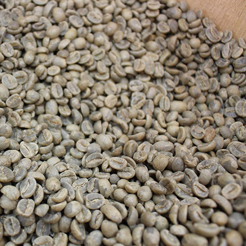 Beans Workshop in Muu COFFEE
